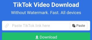 SnapTik, Situs Download Video TikTok Tanpa Watermark